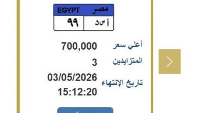 مزاد لوحة أ س د 99