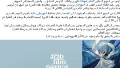 خالد يوسف في مئوية شاهين