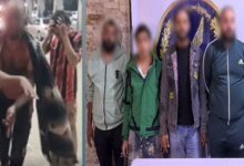 مشاجرة الأسلحة في السلام