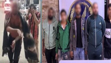 مشاجرة الأسلحة في السلام