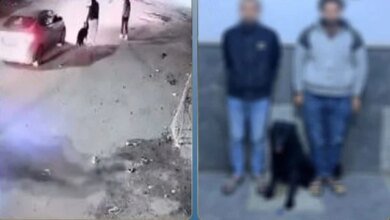 ضبط متهمي فيديو بلطجة الكلب