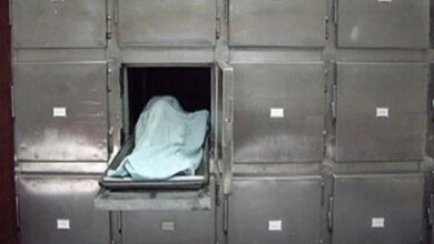 مقتل طفلة المنوفية