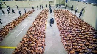 وفاة المعارض بروكلين ريفيرا