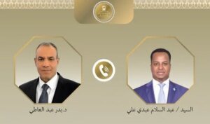 مصر تدعم سيادة الصومال