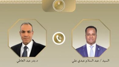 مصر تدعم سيادة الصومال