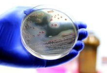 1778131939 A Common Blood Pressure Medicine Could Help Fight a Deadly