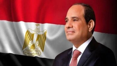 عودة السيسي من جولة الخليج