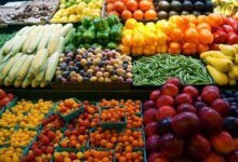 تحركات أسعار الفاكهة في مصر