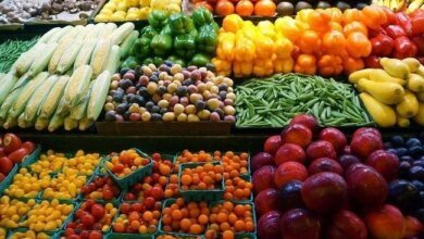 تحركات أسعار الفاكهة في مصر