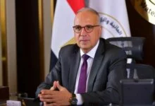 مشروعات مصر في حوض النيل