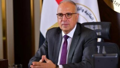 مشروعات مصر في حوض النيل