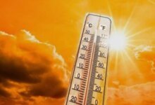 تراجع حدة الحرارة غداً.. "الأرصاد" تحذر من شبورة كثيفة على طرق القاهرة والأقاليم 4 حالة الطقس غداً