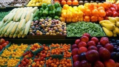 تحديث أسعار الفاكهة