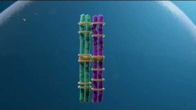 أسباب وراثية للإجهاض