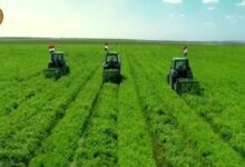 توسعات الدلتا الجديدة