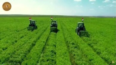 توسعات الدلتا الجديدة