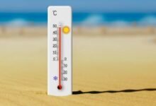 طقس الجمعة في مصر
