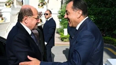مباحثات مصرية يمنية بالقاهرة
