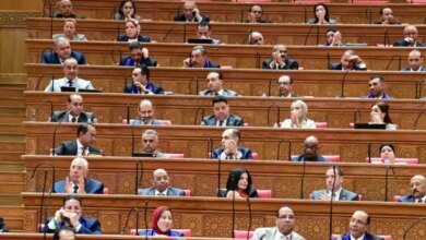 فاتورة المليار وتزايد حالات "العقر" تستنفر البرلمان المصري ضد الكلاب الضالة 8 أزمة الكلاب والبرلمان