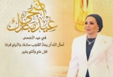 انتصار السيسي تهنئ المصريين بعيد الأضحى وترعى مبادرة «فرحة مصر» لدعم زواج الفتيات 3 مبادرة فرحة مصر