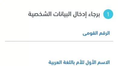 الاستعلام عن الرقم التأميني