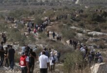 تجريف واستيطان بالضفة