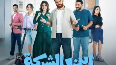 مسلسل ابن الشركة