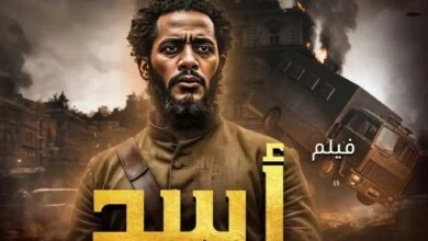 إيرادات فيلم أسد