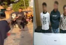 مضبوطات واقعة الجيزة