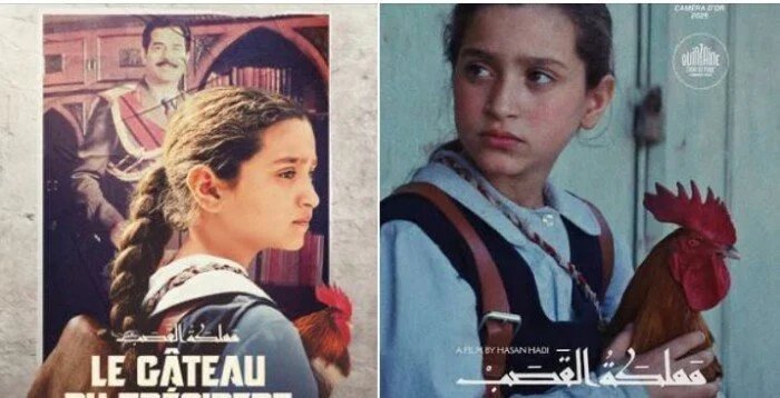 عرض مملكة القصب