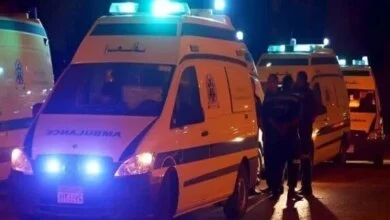 حادث دهس بالقليوبية