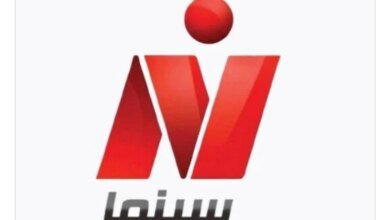 نجوم نايل سينما في العيد