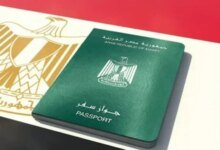قرارات التجنس المزدوج