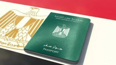 قرارات التجنس المزدوج