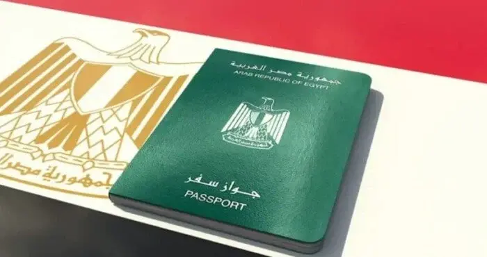 قرارات التجنس المزدوج