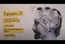 علاج الزهايمر بالفطريات السحرية