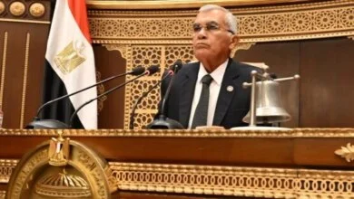 الشيوخ يحاصر الحكومة بخطة 2027 وقائمة مطالب المحافظات 3 جلسات الشيوخ وخطة التنمية
