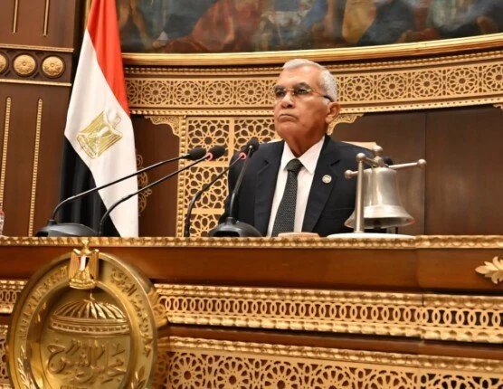 الشيوخ يحاصر الحكومة بخطة 2027 وقائمة مطالب المحافظات 1 جلسات الشيوخ وخطة التنمية