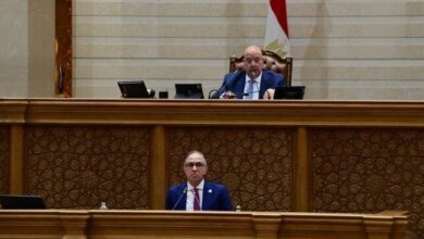 كيف سيواجه البرلمان فجوة المعاشات وارتفاع الأسعار في جلسة الاثنين؟ 2 جلسة البرلمان لمواجهة التضخم