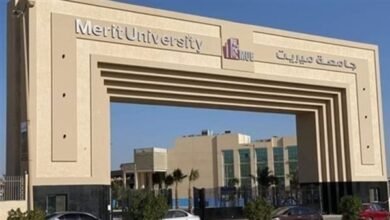 وظائف جامعة ميريت سوهاج