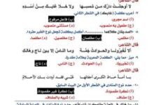 مراجعة اللغة العربية للثانوية العامة