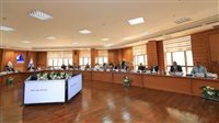 استثمارات جامعة كفر الشيخ