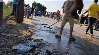 ضحايا آثار القوصية