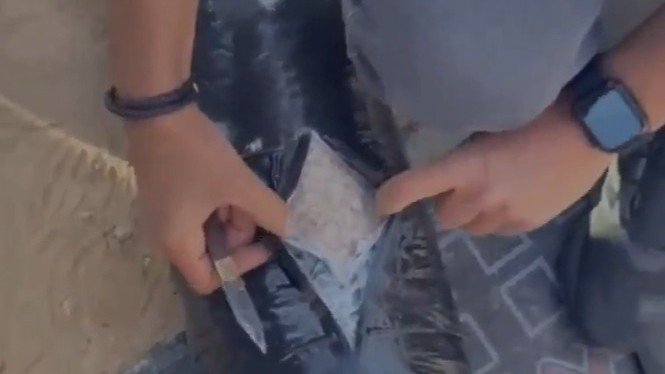 خيوط معلوماتية سعودية تُسقط "العقل المدبر" لشحنة الـ 3.9 مليون حبة مخدرة في لبنان 1 إحباط تهريب ملايين المخدرات