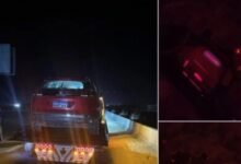 نجاة نهال عنبر