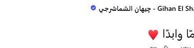 براءة جيهان الشماشرجي