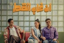 نجاح فيلم إن غاب القط