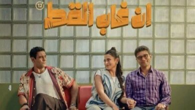 نجاح فيلم إن غاب القط