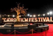 الواقع الممتد في مهرجان القاهرة