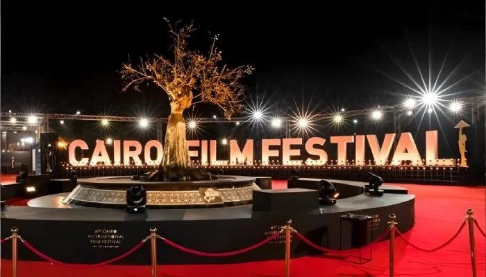الواقع الممتد في مهرجان القاهرة